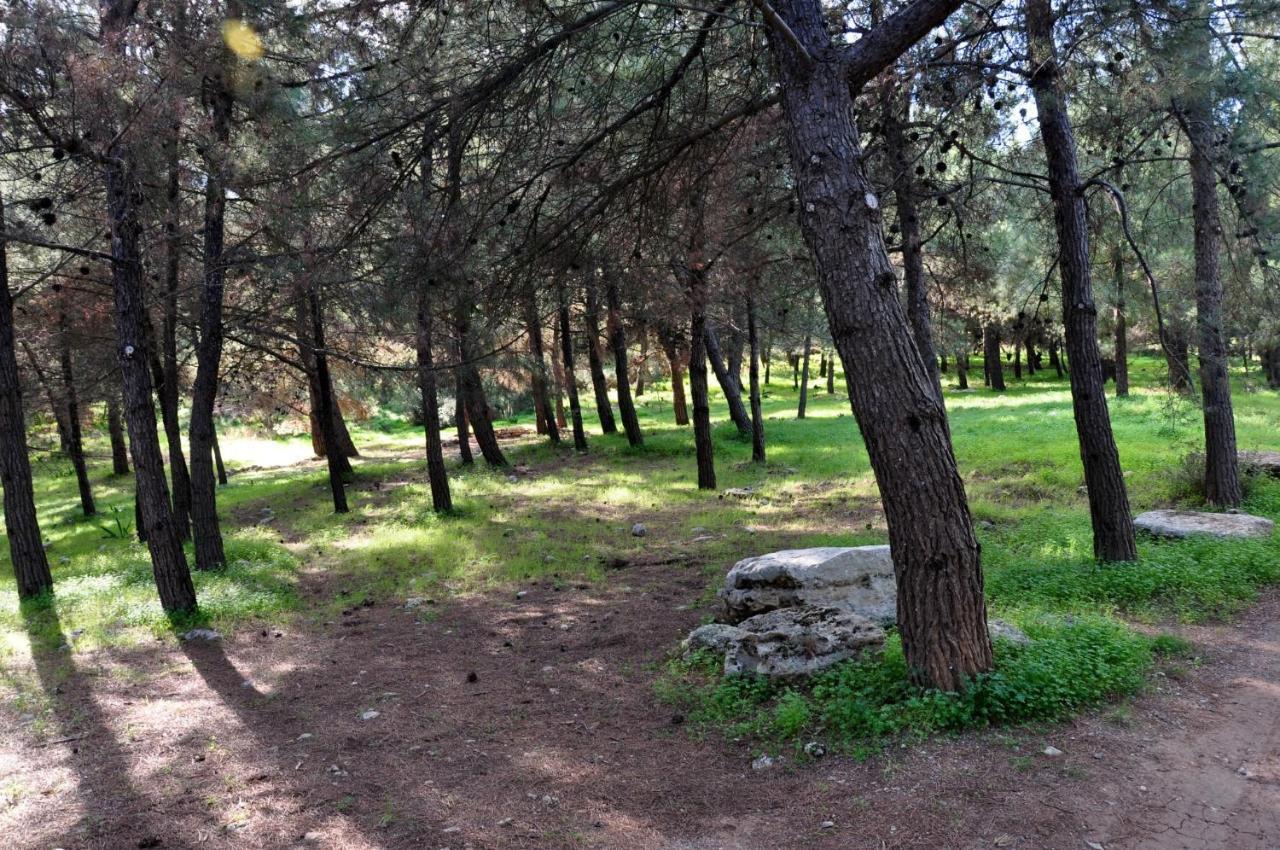 Aletraki -Off-Grid Retreat Above Heraklion, Peaceful Views 阿卡尼斯 外观 照片